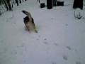 videos de Kimook 6 mesi , corse sulla neve