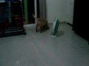 Mobe 3 mths old......video 2