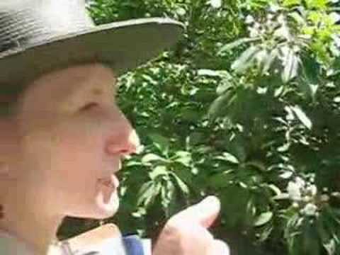 Maudslay State Park - Feast of ...