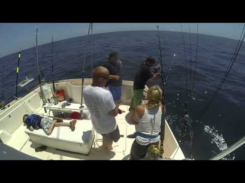 Sharking 6-23-13