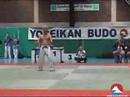 Yoseikan Budo World Cup 2007 Belgium Hiroo MOCHIZUKI (1)