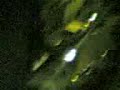 Ufo OVNI avvistatamento-ORE 2.05