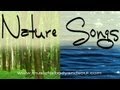 Entspannung & Wellness  Music And Nature