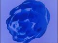 seefeel - fracture seefeel - fracture