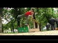Freerunning Training