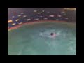 saltos en piscina (saltos.3gp) saltos en piscina (saltos.3gp)