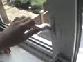 cat gets owned