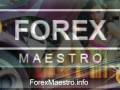 Forex Meastro scalper robot unleashed on the forex markets