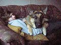 oscar-kim-takes-a-snoog-.html