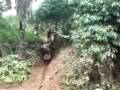 Trilha Agua Limpa Trilha Agua Limpa