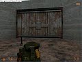 Disappearing Grunt Glitch in half life