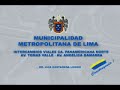 Intercambio Vial Tomas Valle 3 niveles - LIMA PERU