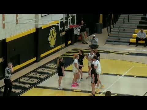 Girls Basketball Highlights: NA vs. Seneca Valley