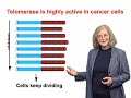 Elizabeth Blackburn 