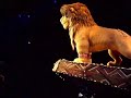 http//annelnbzh.skyblog.com le show du roi lion lion king performing