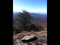 video2.mov Video