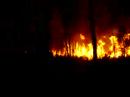 Incendio em S�o Pedro/Valen�a[Lugar da Lagoa]