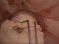 Musical Doll Tune : \"Carousel Waltz\"