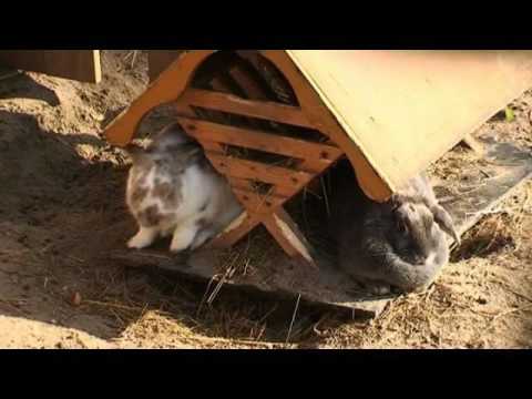 Der neue Tierpark (2008) - Fasanerie in Wiesbaden