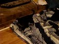 Puppies 4 Adoption - Princess Catherine & Lady Pippa at play