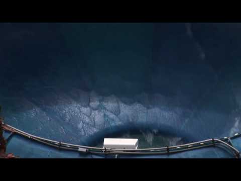 Orlando Tourism : Orlando Wet ’n Wild: Thrill Rides Orlando Tourism : Orlando Wet ’n Wild: Thrill Rides