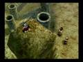 Wild Arms 3 - -012- - : Moor Gault and going back to Baskar
