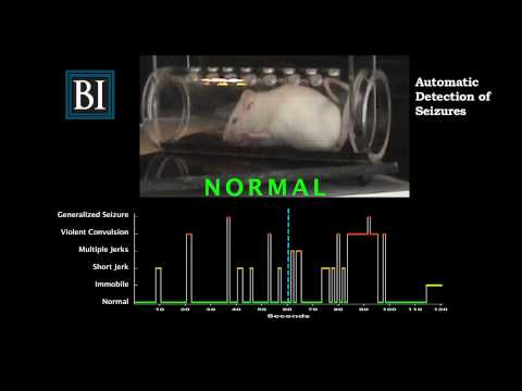 Automated Seizure Detection in Mice