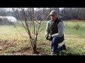 Le Creuset Kitchen Sessions With Jeff Ross of Blackberry Farm -cultivating truffles