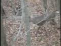 BEST DEER HUNTING BLOOPER!! TOTAL WHIFF MELTDOWN