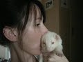 une lecon de rangement par Goshu le furet !