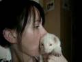 une lecon de rangement par Goshu le furet !