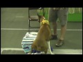 See video