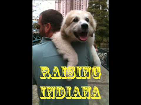 how to obtain llc in indiana
