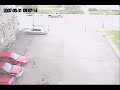 Deer jumps out of government building!