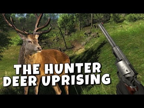 DEER