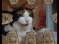 Super Cat World VS High Voltage Prairie Dogs Group Audio Harassment