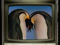 La TV CualCerda (Ep.8)