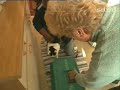 Katze dreht voll am Rad Katze dreht voll am Rad