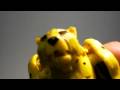 videos de Transformers Universe Classics 2.0 Cheetor 