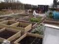 Raised bed allotment February 2007
