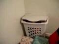 messed up seasme street part one