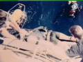 Dahab Blue hole Tragedy