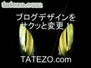 ????????????????????tatezo ?????????