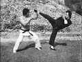 Bruce lee and bolo