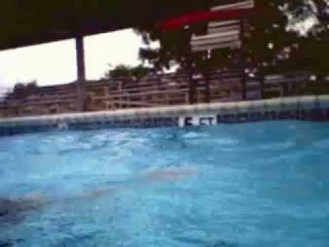 SWIMMING AT THE POOL