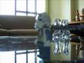 StarwarsepisodeII I/VIProblematic clones Part1 dancing clone