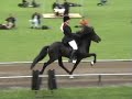 Hákon vom Wiesenhof, WC 2007 T1 Hákon vom Wiesenhof, WC 2007 T1