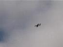 Boomerang XL Fly Cam :North West Turbines