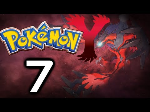 how to turn on xp share pokemon y