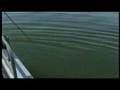 Outdoor Storytellers - Monster Walleye